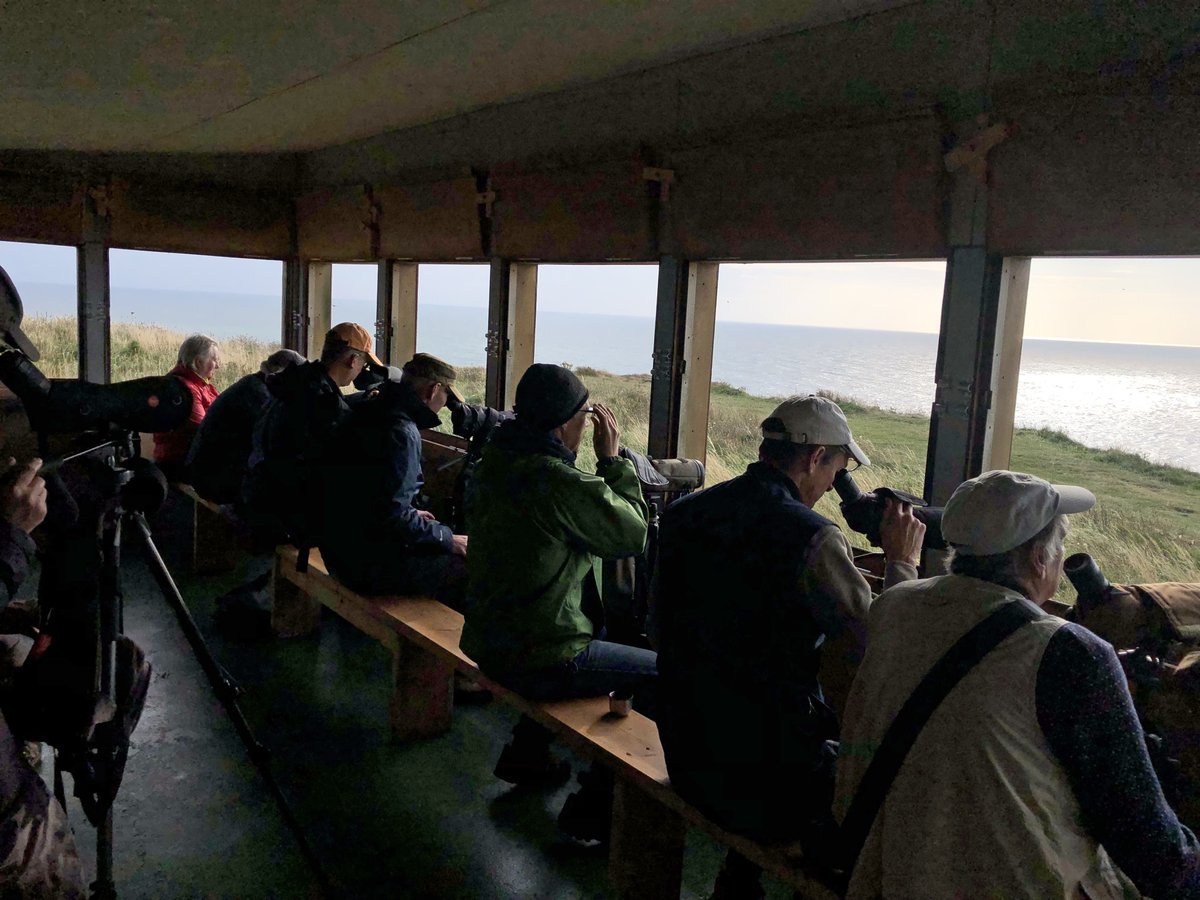Craig Thomas (@craigcthomas1) on Twitter photo This year's Seawatch Festival closed with a Balearic Shearwater, six Roseate Terns, 25 Little Gulls & six Caspian Gulls. Sincere thanks to all the <a href="/FlamboroughBird/">Flamborough Bird Observatory</a> volunteers & visitors who helped ensure it was such a blast! This year's Seawatch Festival closed with a Balearic Shearwater, six Roseate Terns, 25 Little Gulls & six Caspian Gulls. Sincere thanks to all the <a href="/FlamboroughBird/">Flamborough Bird Observatory</a> volunteers & visitors who helped ensure it was such a blast!