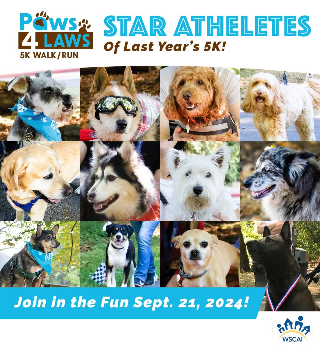 Join the cutest WSCAI athletes as we raise money for WSCAI's LAC! And rest in peace, sweetest ❤️ Zeke—sporting his ace goggles—winner of the 2023 P4L Canine Congeniality Award.
Sign up here: wscai.org/events/paws4la…