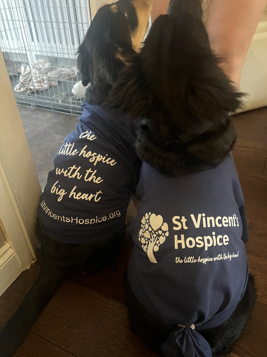 Happy National Dog Day! 🐾

Our pups 🐶 Dolly &amp; Daisy 🌼 are proudly sporting their <a href="/StVincentsHosp/">St. Vincent's Hospice</a> t-shirts, showing off their support for the incredible work we do.

A big shoutout to all the dogs out there who make our lives brighter!

#NationalDogDay #HospiceCare