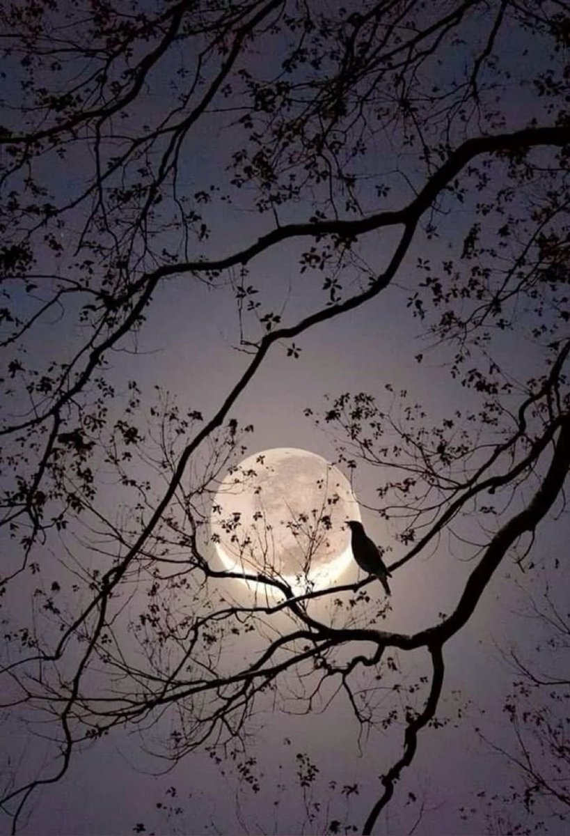 MOON LOVER (@m1onlover) on Twitter photo 