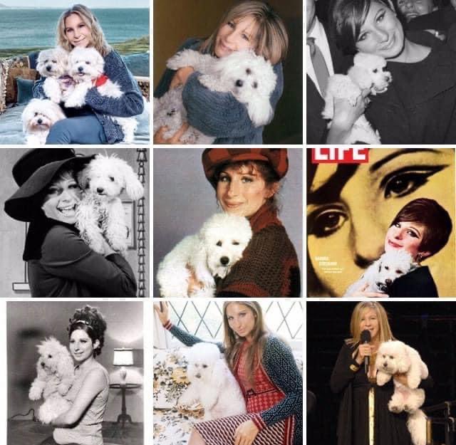 Barbra Streisand tweet media