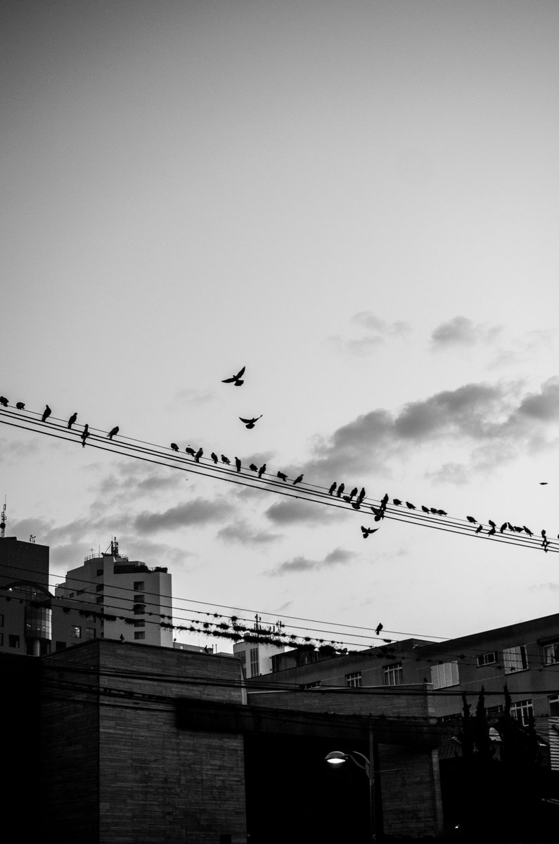 astronauta da saudade tweet media