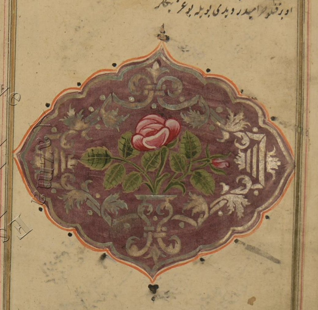 Yazmaları teşrif eden bazı gül misalleri: