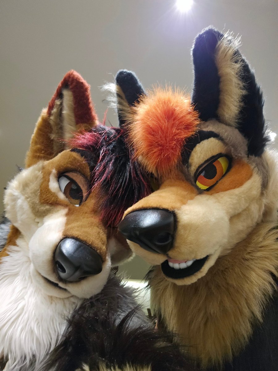 Happy #MFYMonday with another cute jackal <a href="/Amurrettosour/">TurboDawg</a>. We're gonna be causing troubles for you 
✂️: <a href="/MadeFurYou/">Made Fur You</a>