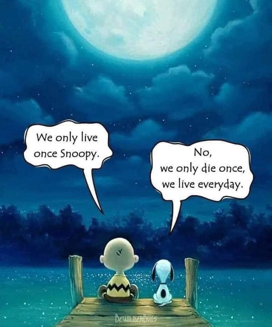 Dalbodog's tweet photo. ❤️ https://t.co/bbpBfZMpIh