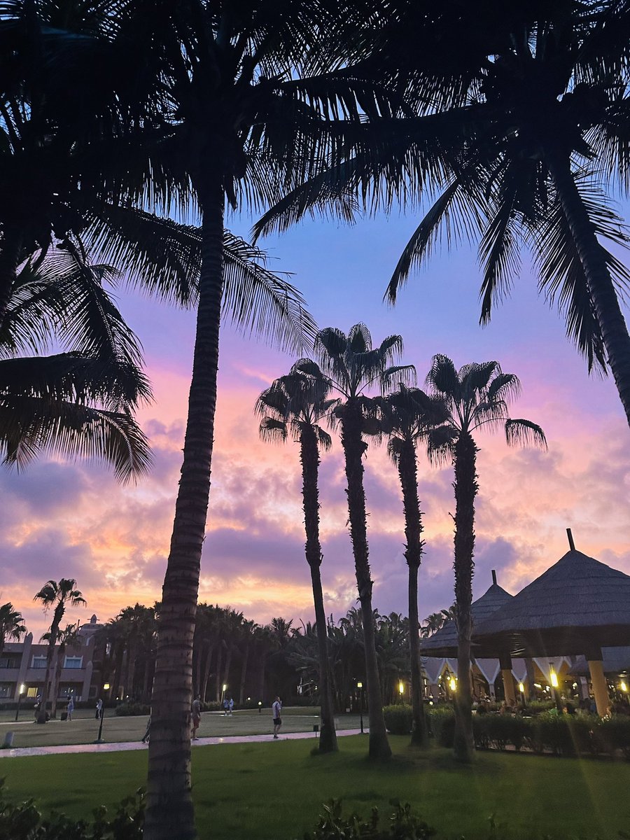 Basia_K_3's tweet image. Zapada zmrok już świat ukołysany 😉 
#PozdrawiamWas 
#SummerVibes2024