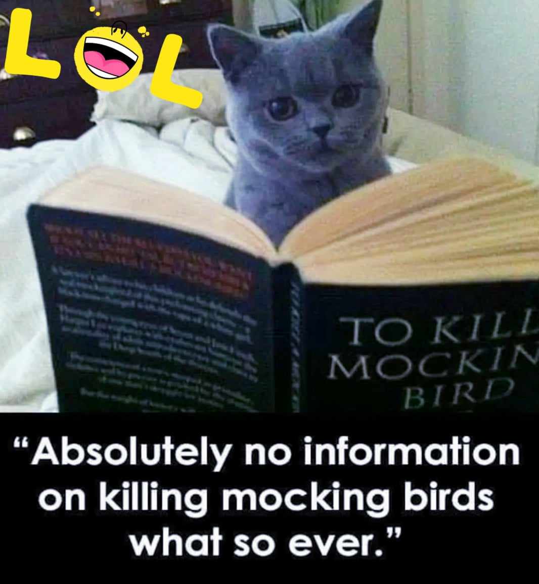 ETMulloney's tweet photo. Can you relate?
#etmulloney #relatable #catbook #photobook #etmulloneybooks #funnyphoto #anointedpathways #theteenageempowermentbookbundle #funnymeme #forbooks #readingworld #readingbooks #booklovers #bookwriting #Amazing #x #TwitterWorld https://t.co/GyNyTw9uVU