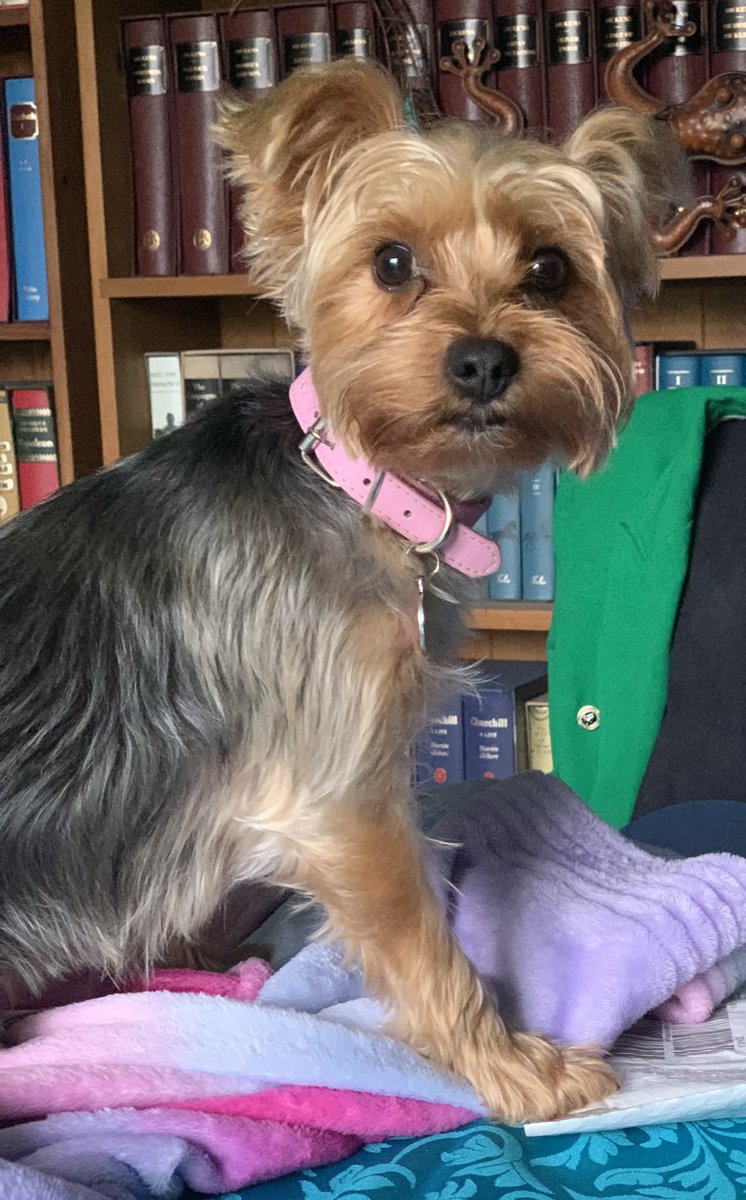 Thomas Leonard Ross KC tweet media