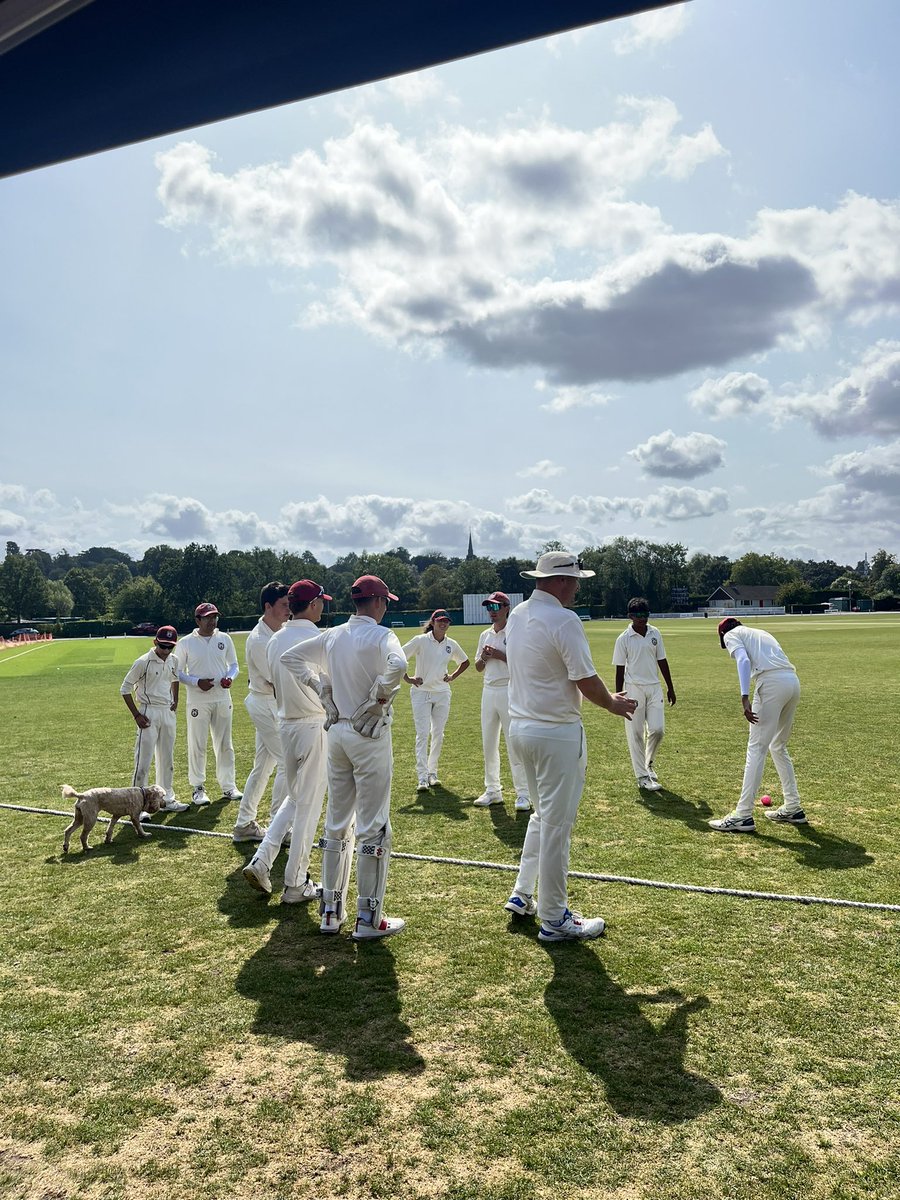 katthekat75's tweet photo. Scoring a very special match today at @wimbledoncrick in memory of Andrew, a young Don who lost his life in a car accident 30 years ago. An annual internal fixture to honour his memory Chairman’s XI Vs President’s XI https://t.co/2caSjDzHzt @CricketNotchers #scorerscount https://t.co/8PNWJr0MD2