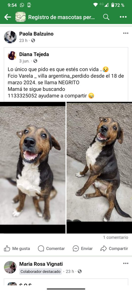 María Rosa tweet media