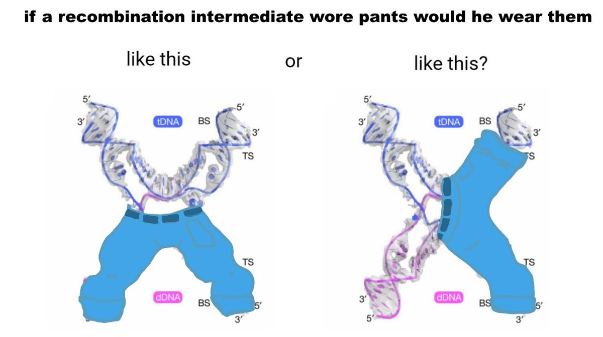 Exciting work! However, one crucial question comes to mind...