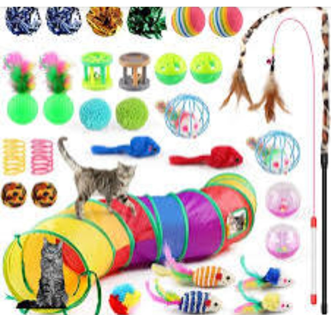 catlowry54's tweet photo. Rhona in #AnCatDubh in Mullagh, Co Clare is inundated with pregnant cats & kittens. If you have cat toys spare, could you pop in envelope & post to Rhona Lucas, An Cat Dubh Sanctuar, Mullagh, Clare. Thank you...#CatAngel https://t.co/EgPLAqe9a4