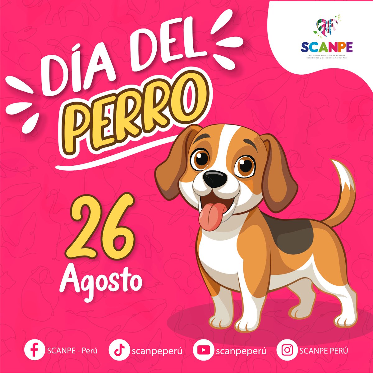 PeruScanpe's tweet photo. 🔵🟣📣📣FELIZ DÍA DEL PERRO 🐶🐾
Los perros, esos fieles compañeros de cuatro patas, han compartido un vínculo especial con los seres humanos a lo largo de la historia. 
#scanpeperu🇵🇪 https://t.co/UrtExc5OMo