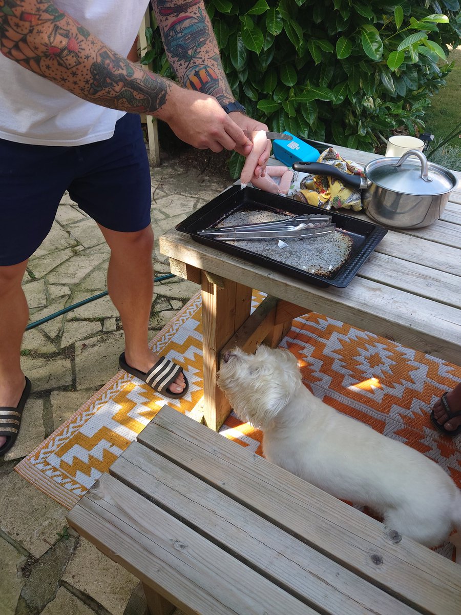 ernpup's tweet image. We've had a family #BBQ this afternoon and I made sure I was in prime position at all times 😋🍖 When you have a Mum and Dad who are both vegetarians, you have to make the most of these occasions! 😆 #noms #feedme #dogsofx