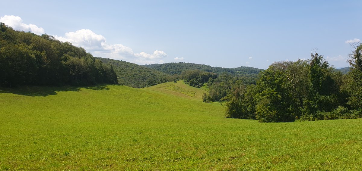 Land untouched by the government is priceless !