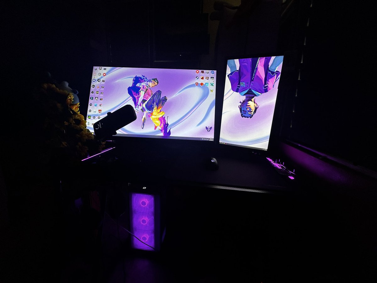 Lily🌸✰ tweet media