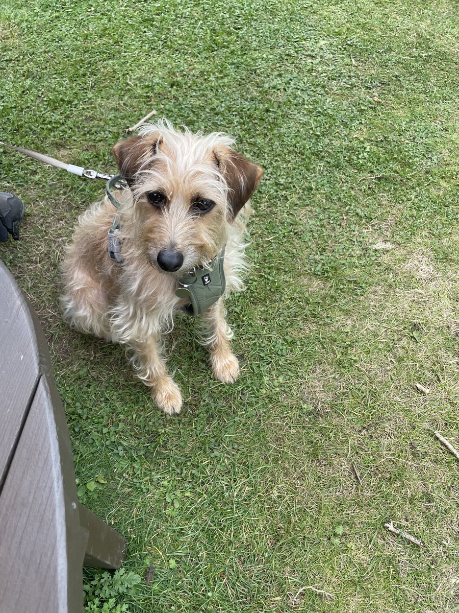 David Amigoni tweet media