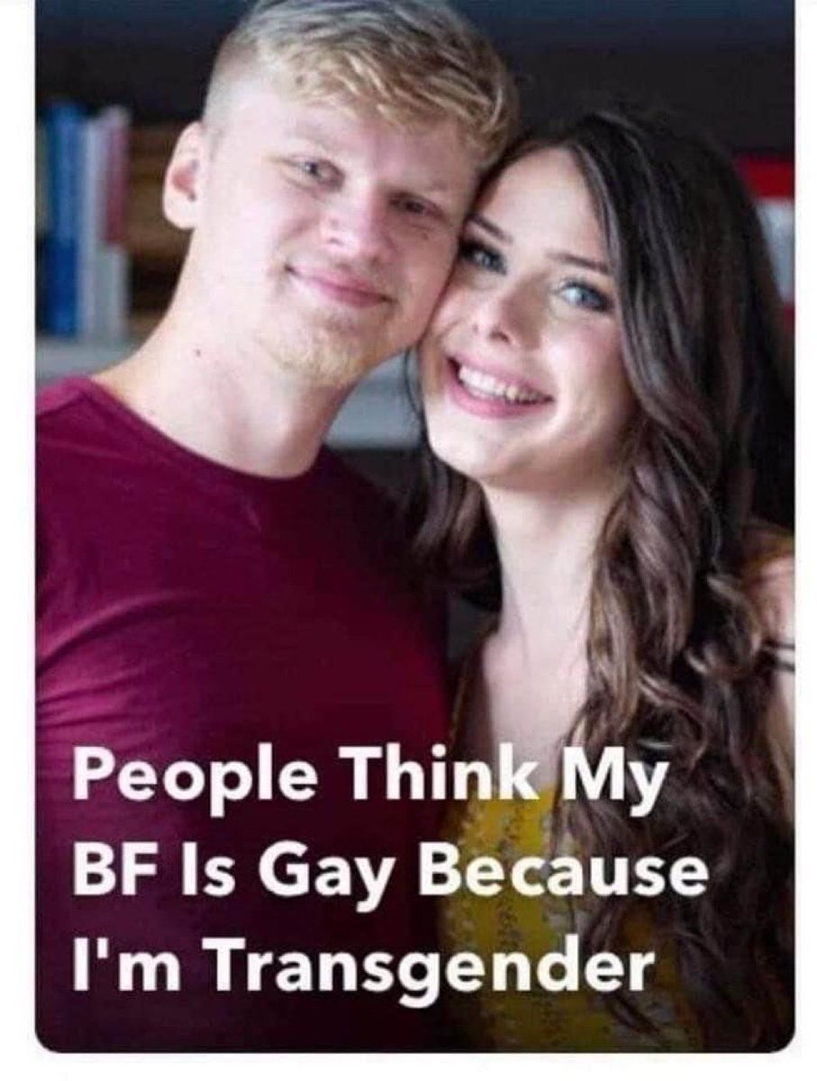 AlphaFox tweet media