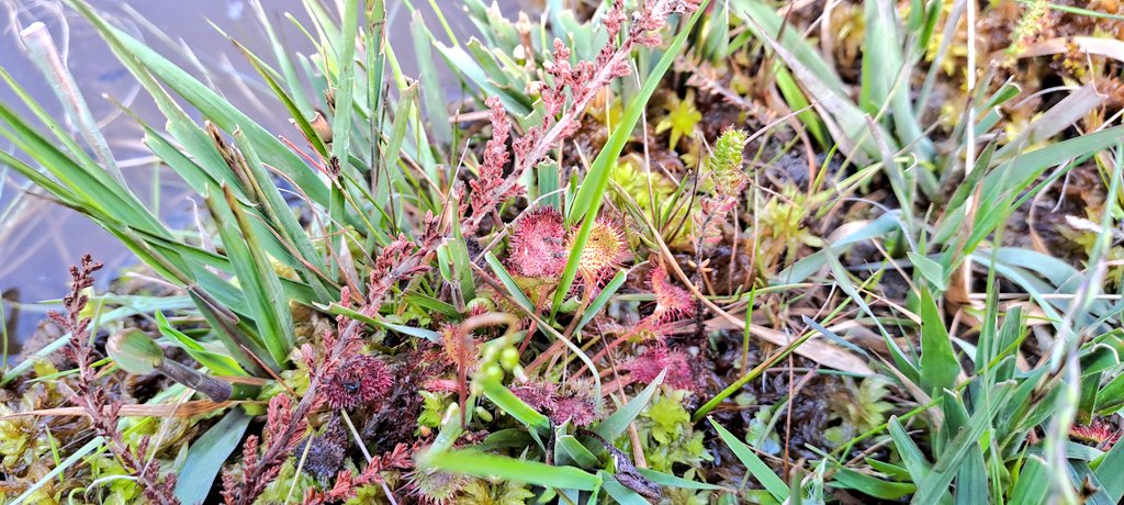 Martin Lester tweet media