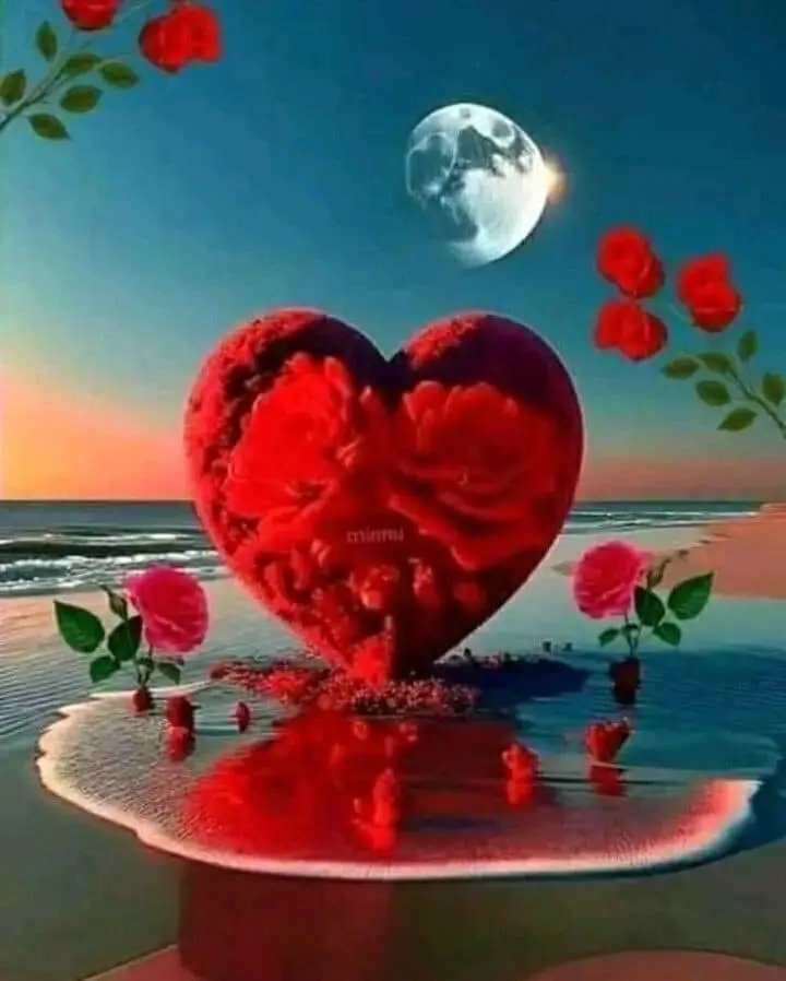 مساء الحب الأحلى الأحباب 
على قلبي