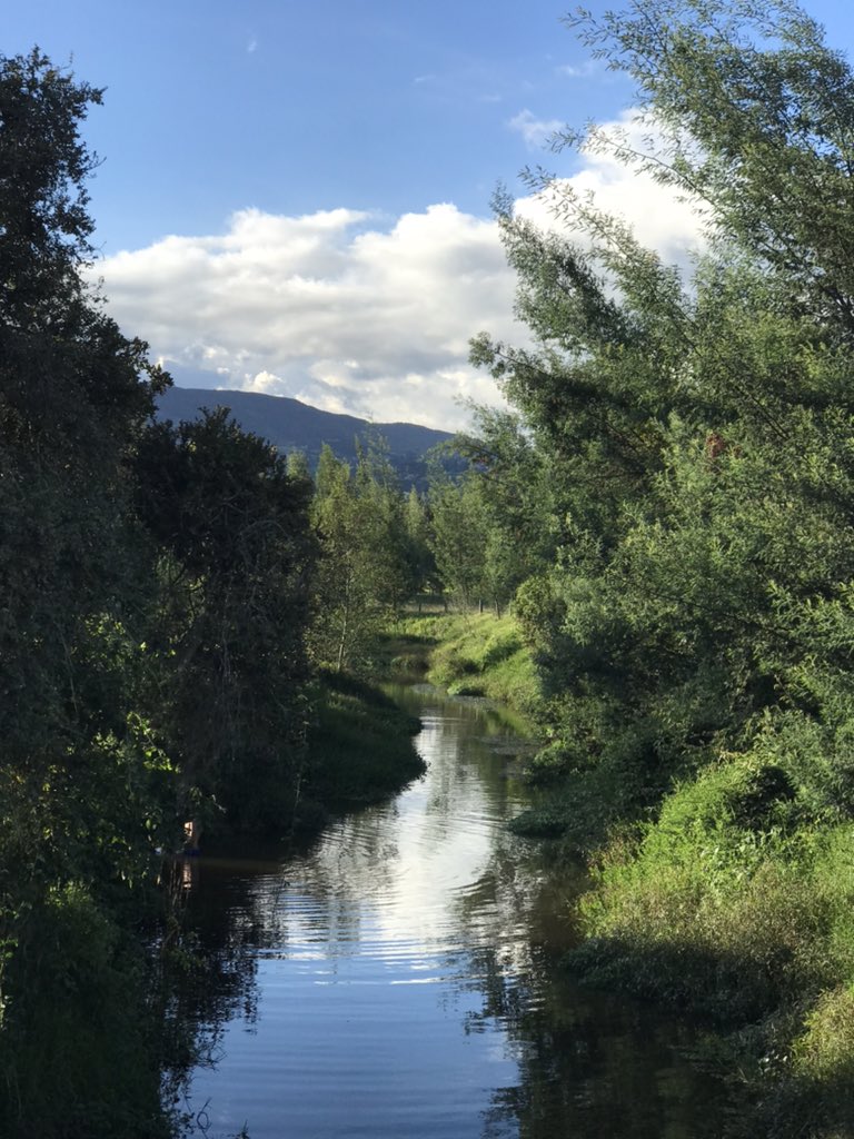 Así era el río Neusa hace menos de un mes. 🧵