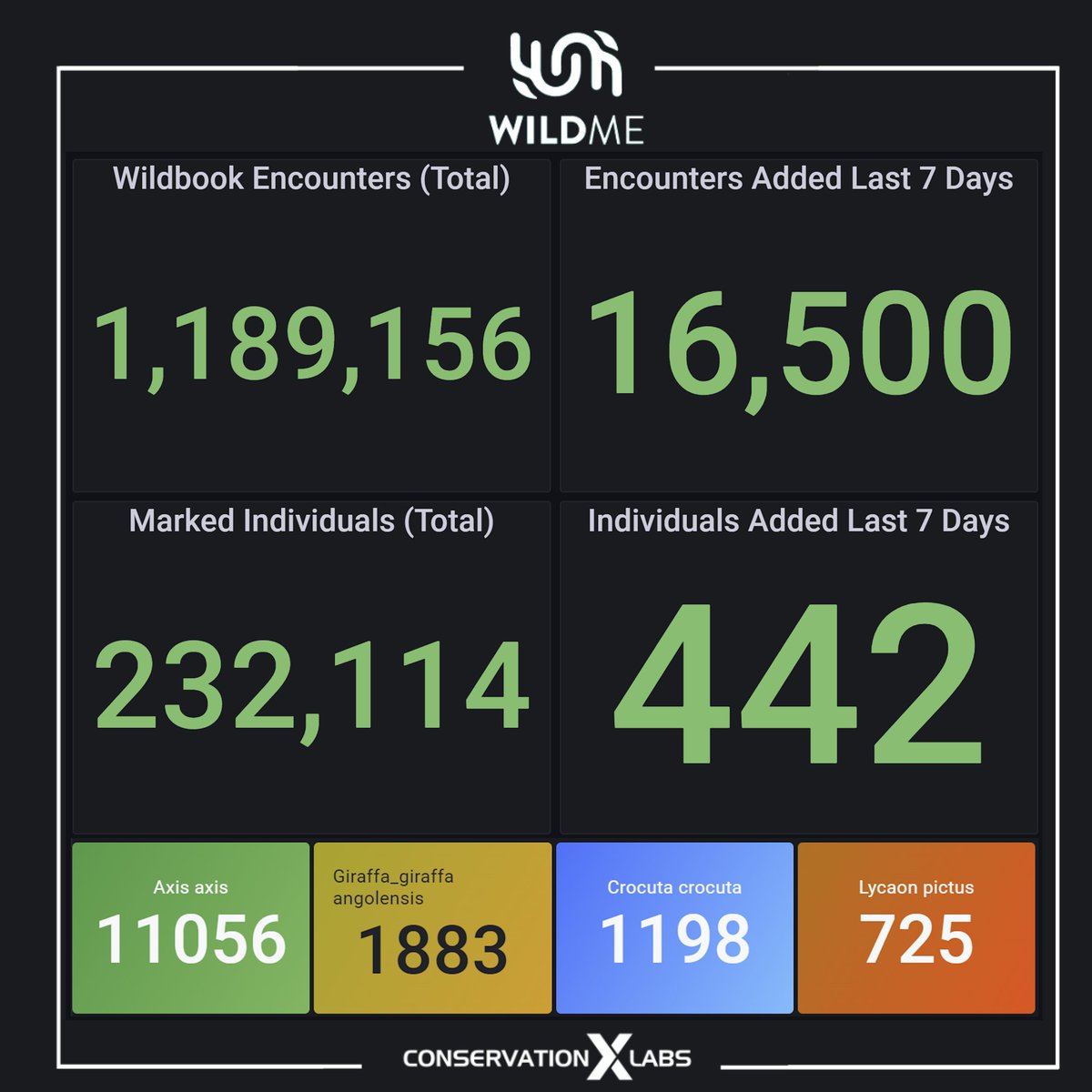 Chital deer (Axis axis) led data growth in Wildbook last week. We're learning how to efficiently process very high volumes of camera trapping data, which is valuable experience as we grow and optimize functionality for many species and data collection tools. 🦌🦒🐕