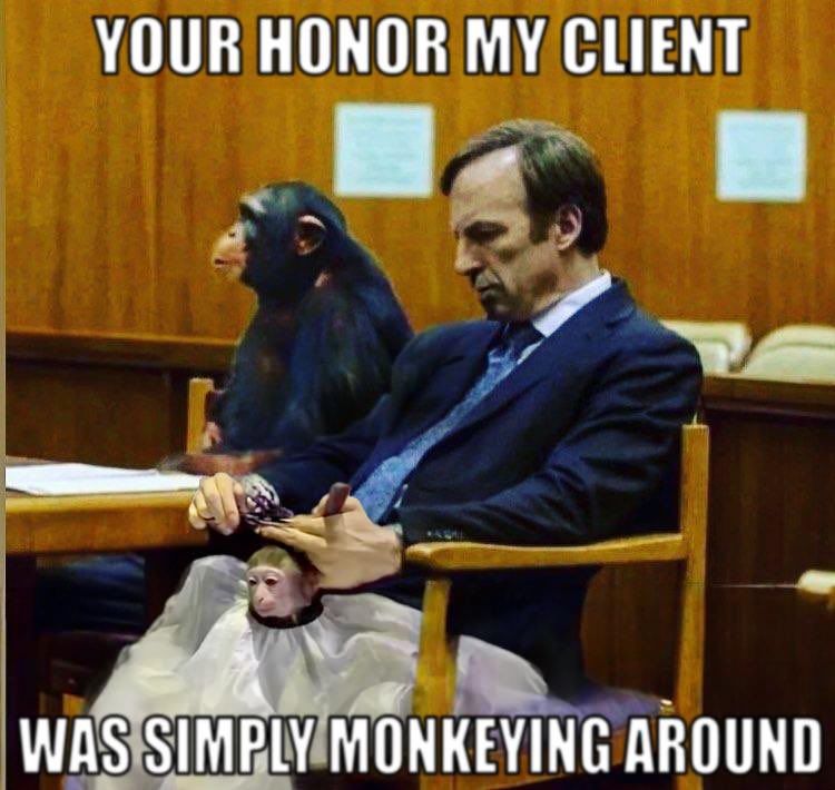 monkhairsol's tweet photo. case dismissed👍 https://t.co/cznKOJmkQb