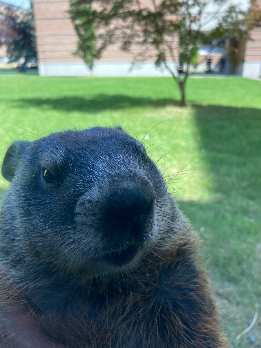 Alex Rusakov (@alexrusakov7) on Twitter photo 