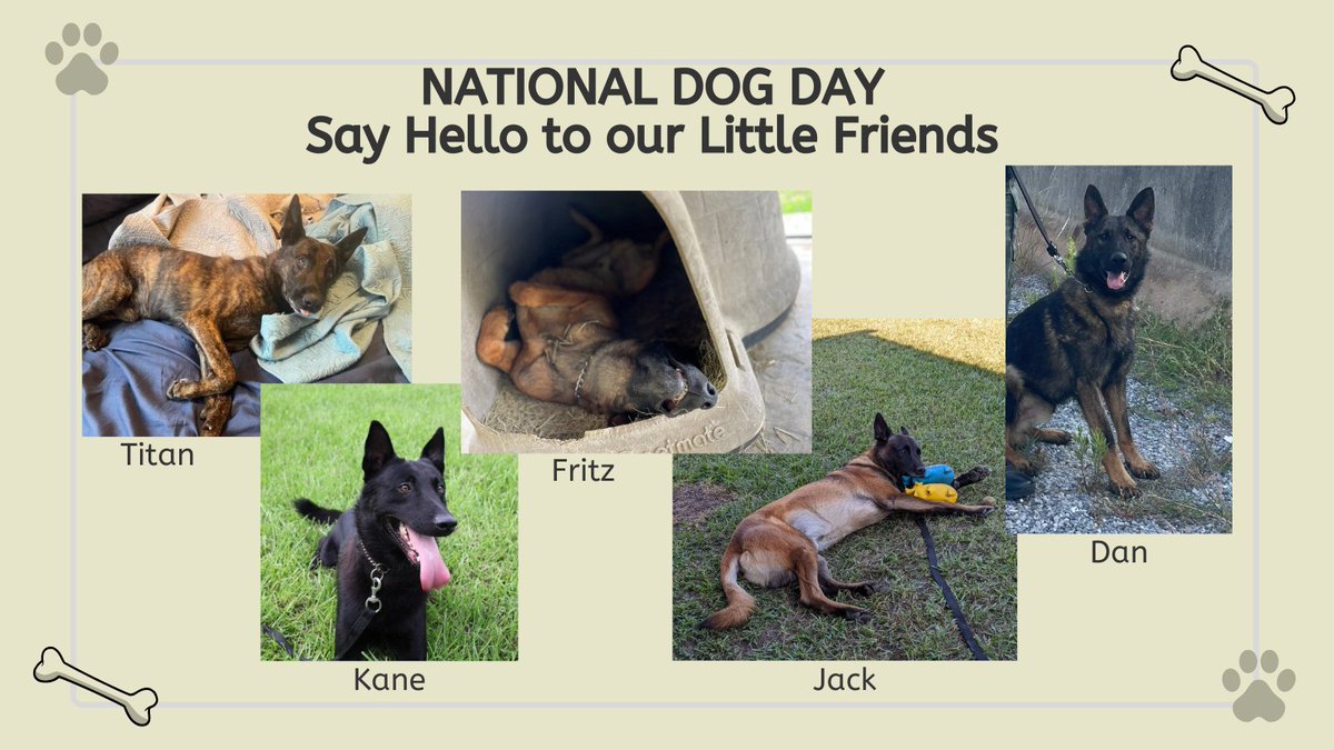 Lafayette PD (LA) (@lafayettepd_la) on Twitter photo 