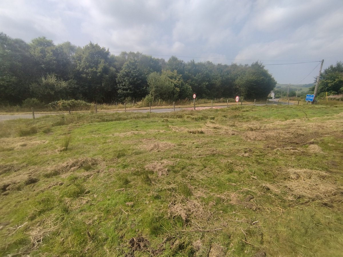 Andrew_Eds's tweet photo. 2/2 have a good view of the action. 
The roads are fast becoming rally stages!!
@Rali_Ceredigion @FIAERC @BRCrally https://t.co/tfLy5OLzV9