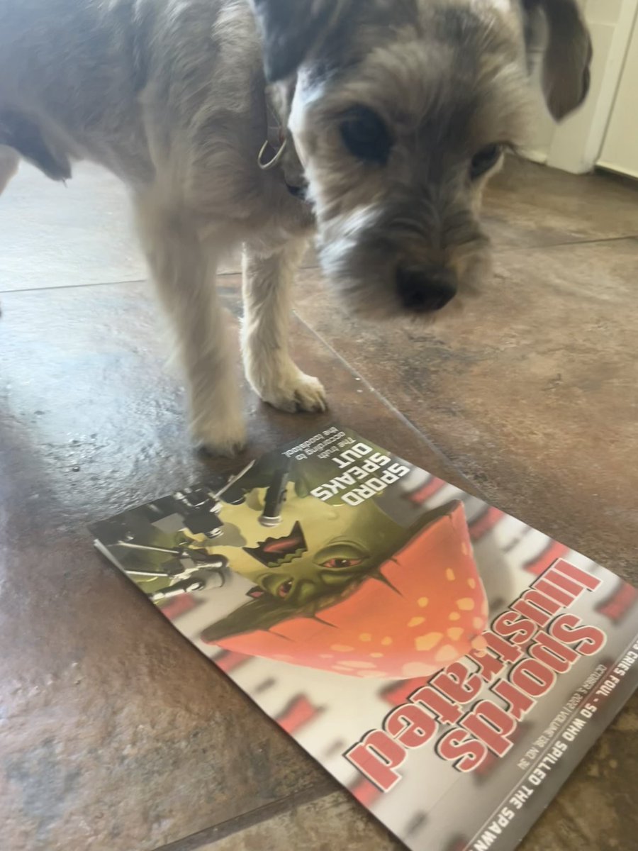 <a href="/PlayWildcard/">Wildcard LIVE on Steam</a> Catching up on some Spords Illustrated this fine Monday #wildcardpets