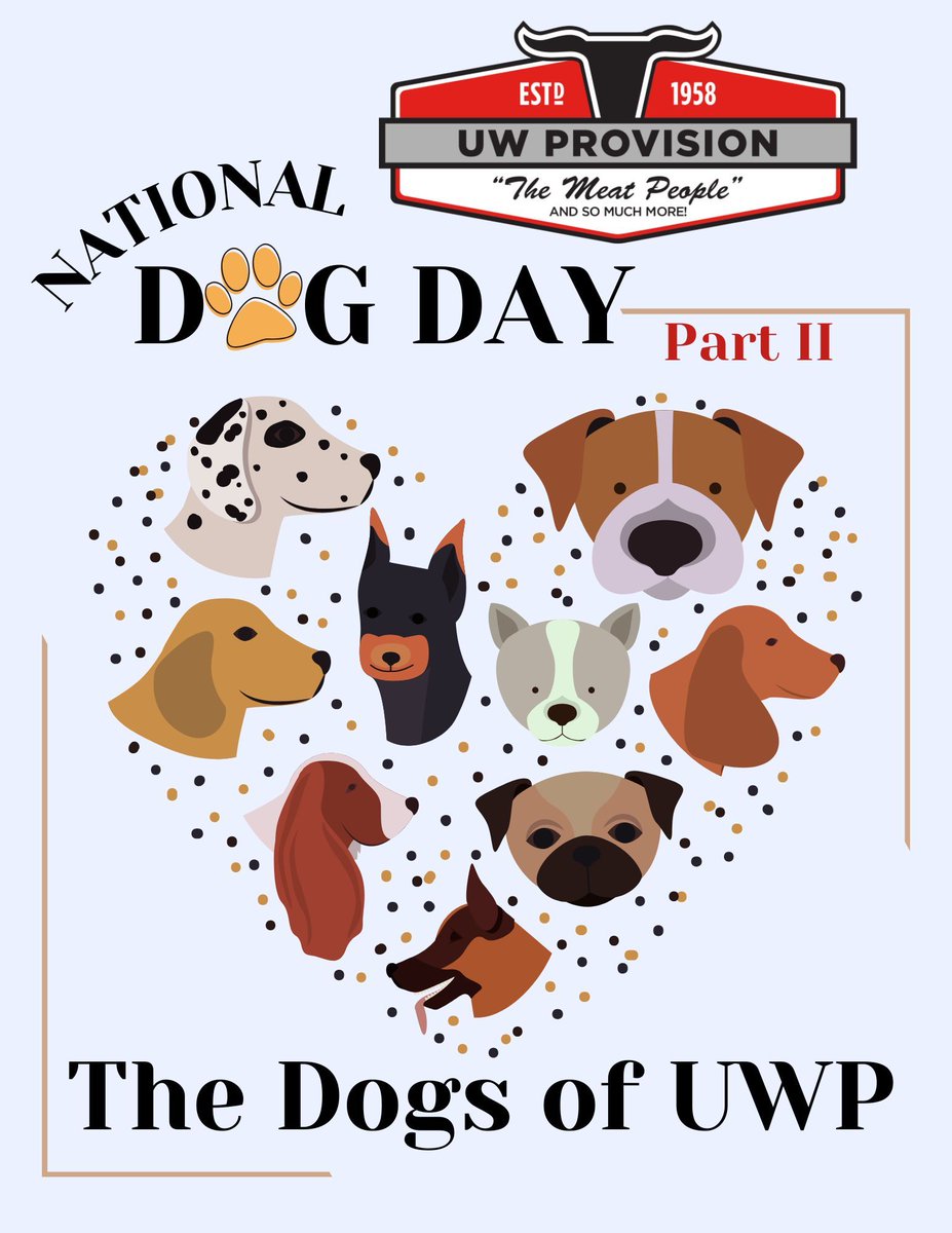uwprovision's tweet photo. National Dog Day Part 2 because one just isn't  enough🐶
In Order- Remington, Snowball, Titan, Barkely, Nala, Kash https://t.co/E9vdAZ0Ypj
