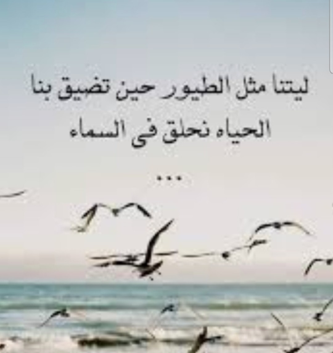 mhyam44's tweet photo. https://t.co/5Bhf0U9kwJ
