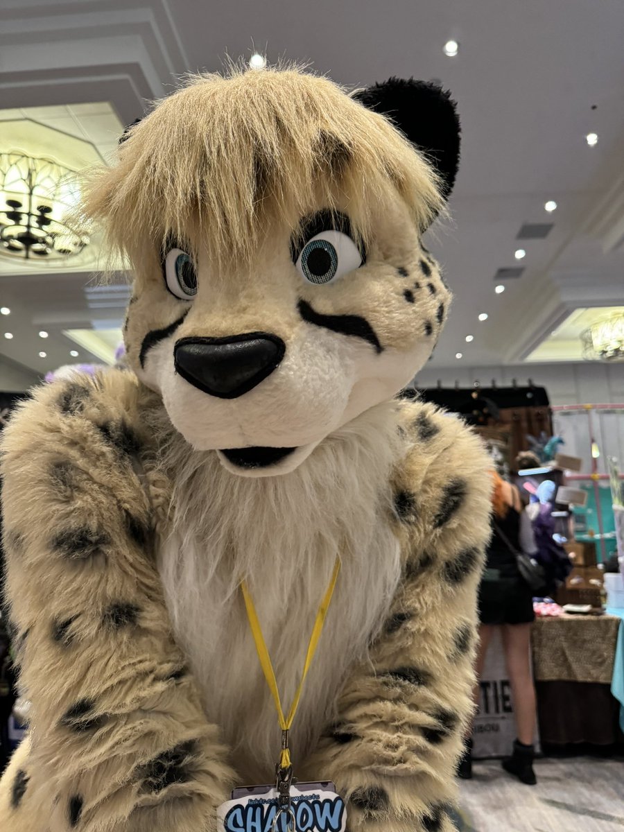 Tigger Furry Fiesta 🦁 tweet media