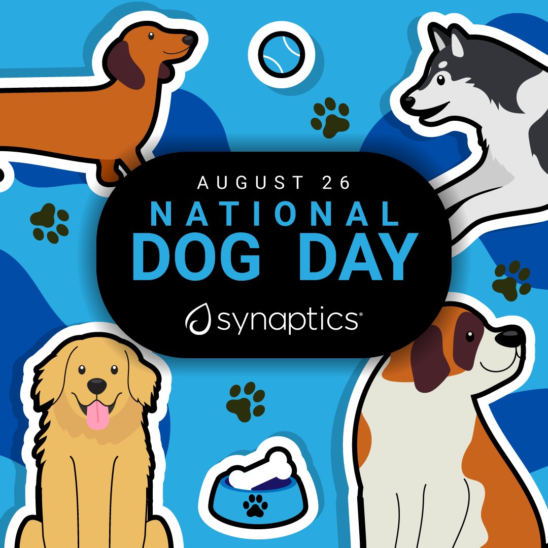 SynaCorp's tweet image. Happy #InternationalDogDay from the pups of Synaptics! We're grateful for these furry friends spreading office cheer! 🐶 

#officedogs