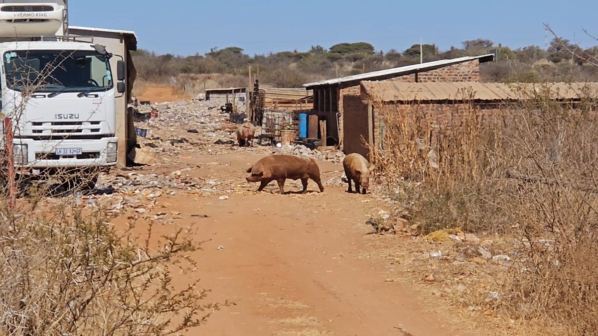 Veetra__'s tweet photo. Two Limpopo farmers Zachariah Johannes Olivier, 60, Andrian Rudolph de Wet, 19, appeared in court for killing two women and feeding pigs with their bodies. 

The children heard gunshots never imagining it was the end of their mother's life.

It is reported that the 47 year old man, who was shot, managed to escape and get help.  However, this was not the case for the two women.

Police found both Maria and her companion's decomposing bodies in the pigsty and it was reported that the pigs had started eating the bodies.  

Both women had allegedly been shot. 

A devastated Walter Mathole, Maria's brother, told reporters that the family is demanding justice, not just for Maria, but for all victims of farm killings in Limpopo.

The three suspects, farm owner Zacharia Olivier and two workers, Rudolf de Wet, and William Musora, will appear again in the Mankweng Magistrate’s Court on the 30th of August.