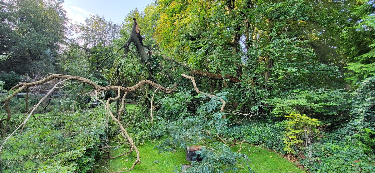 Tjeerd Langhout tweet media