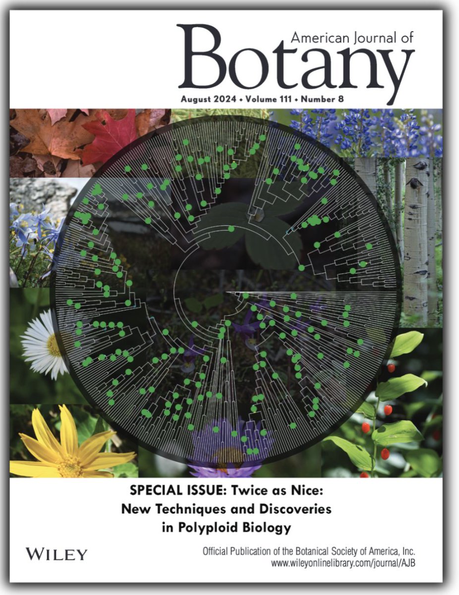 Botanical Society of America (@botanical_) on Twitter photo The new #AJB special issue is online, featuring new analyses that explore questions related to #polyploidy!
Thanks to editors Michael Barker, Yuannian Jiao & Kelsey Glennon!
Check out the intro for an overview: bsapubs.onlinelibrary.wiley.com/doi/epdf/10.10…
<a href="/wileyplantsci/">Wiley Plant Science</a> <a href="/WileyEcolEvol/">Wiley Ecology & Evolution</a> #botany The new #AJB special issue is online, featuring new analyses that explore questions related to #polyploidy!
Thanks to editors Michael Barker, Yuannian Jiao & Kelsey Glennon!
Check out the intro for an overview: bsapubs.onlinelibrary.wiley.com/doi/epdf/10.10…
<a href="/wileyplantsci/">Wiley Plant Science</a> <a href="/WileyEcolEvol/">Wiley Ecology & Evolution</a> #botany