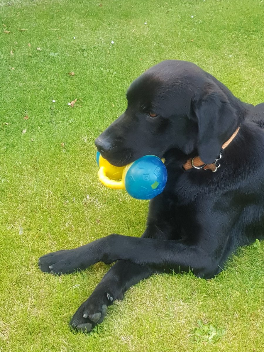 Knox Academy - Depute Head Teachers tweet media