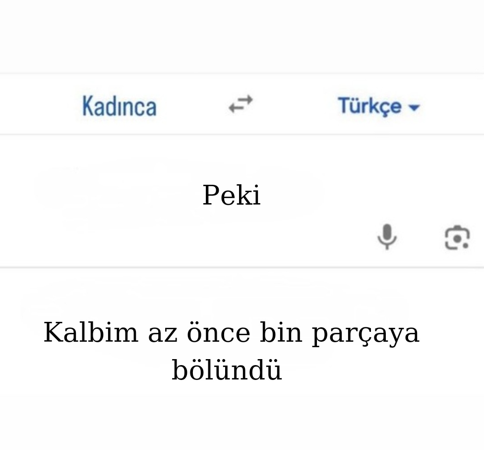 kadın dili ve edebiyatı