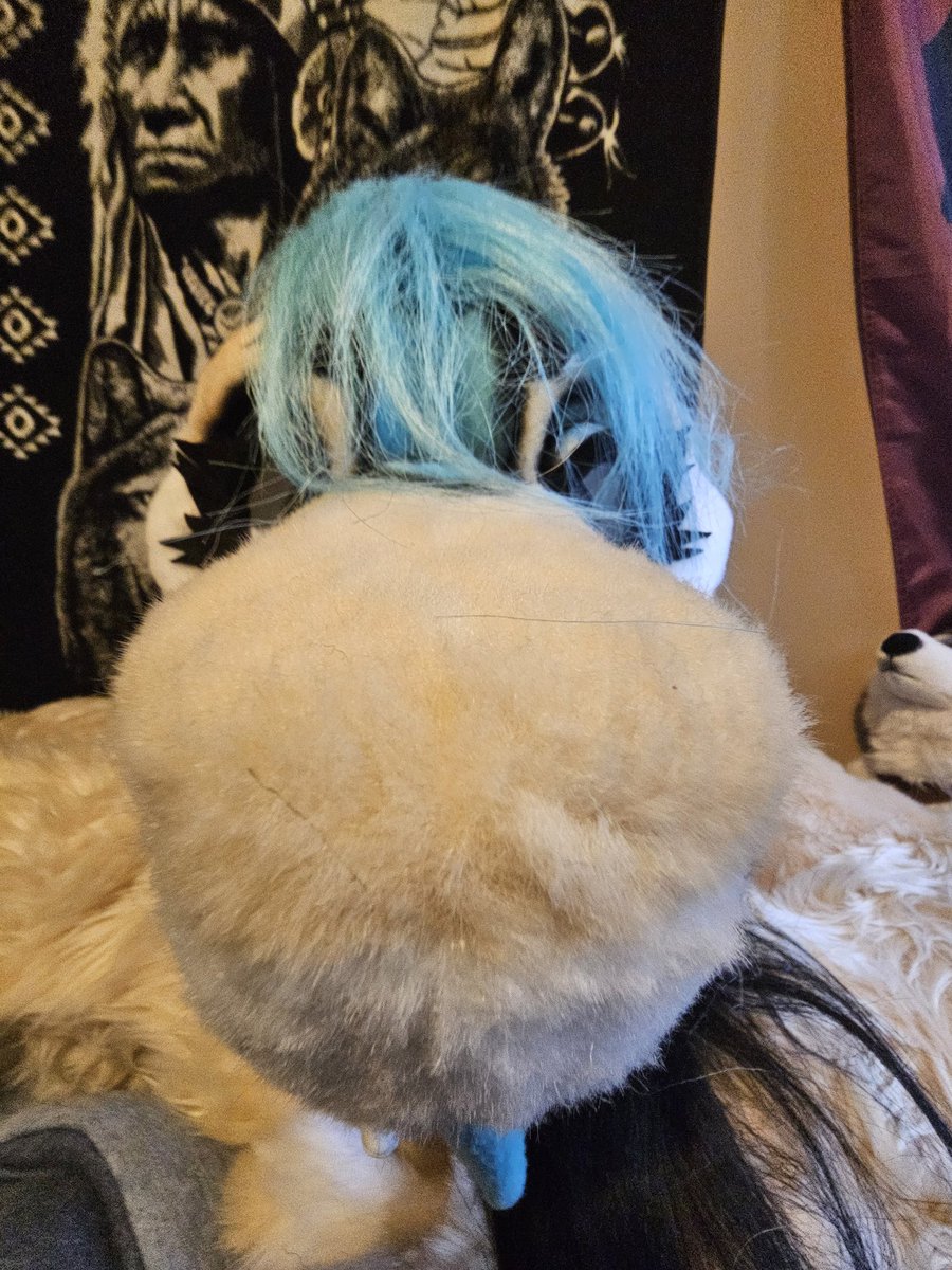 _JadedShark's tweet photo. Boopable? https://t.co/ZE02RgVqu6