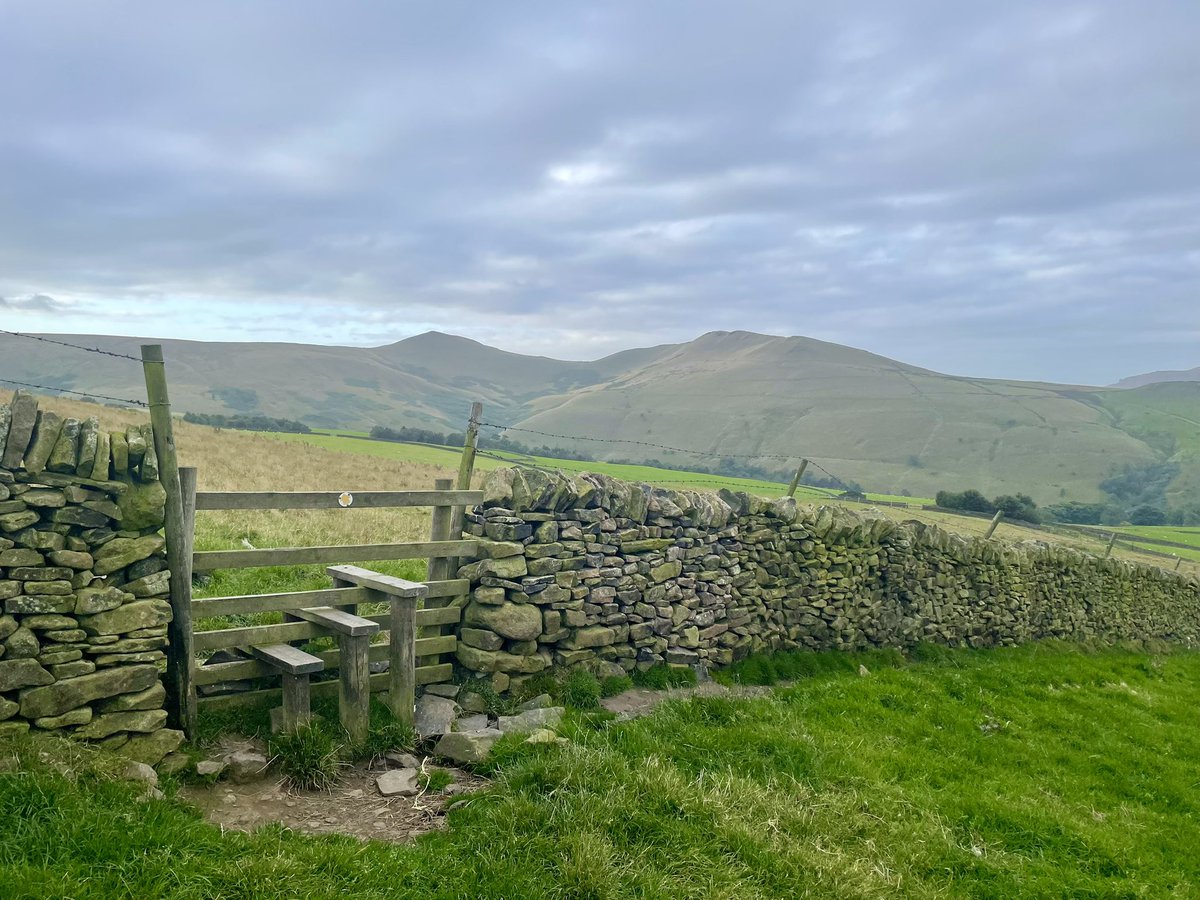 Sarah Ellson tweet media