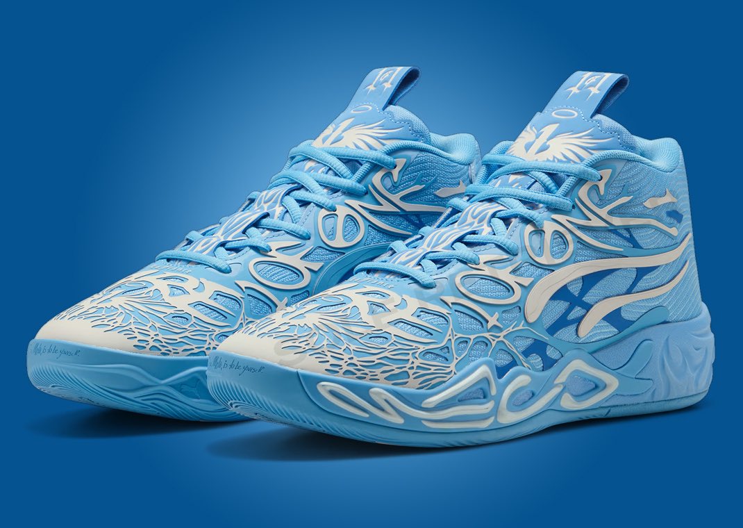 Sole Retriever tweet media