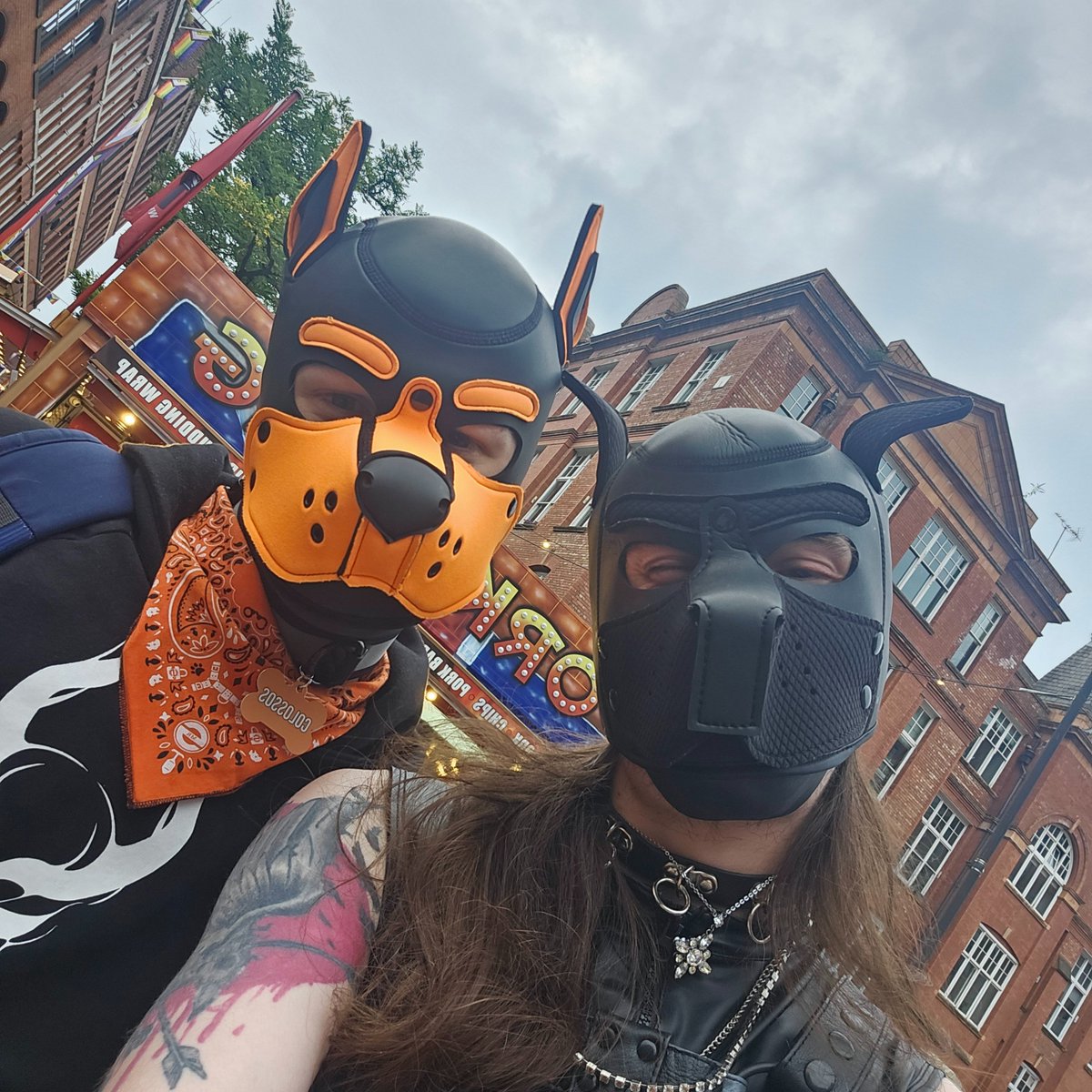 AlphaShadow1996's tweet photo. Pride was awesome! If anyone recognizes these pups, please tag them! :3 https://t.co/G7L5ks3XRr