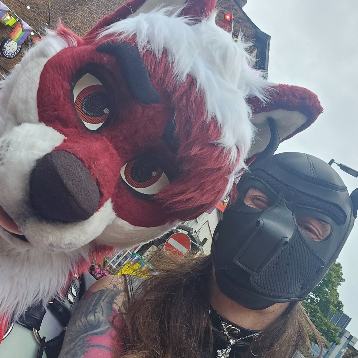 AlphaShadow1996's tweet photo. Pride was awesome! If anyone recognizes these pups, please tag them! :3 https://t.co/G7L5ks3XRr