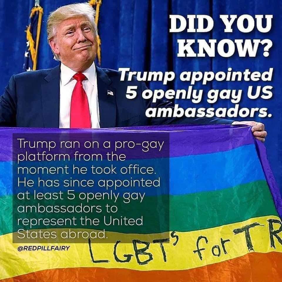🐸 MrsNova_ToYou 🐸 tweet media