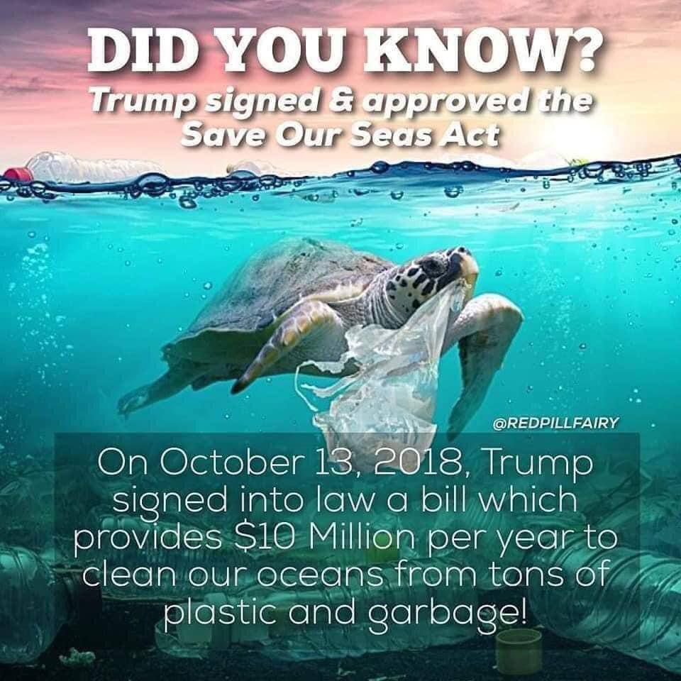🐸 MrsNova_ToYou 🐸 tweet media