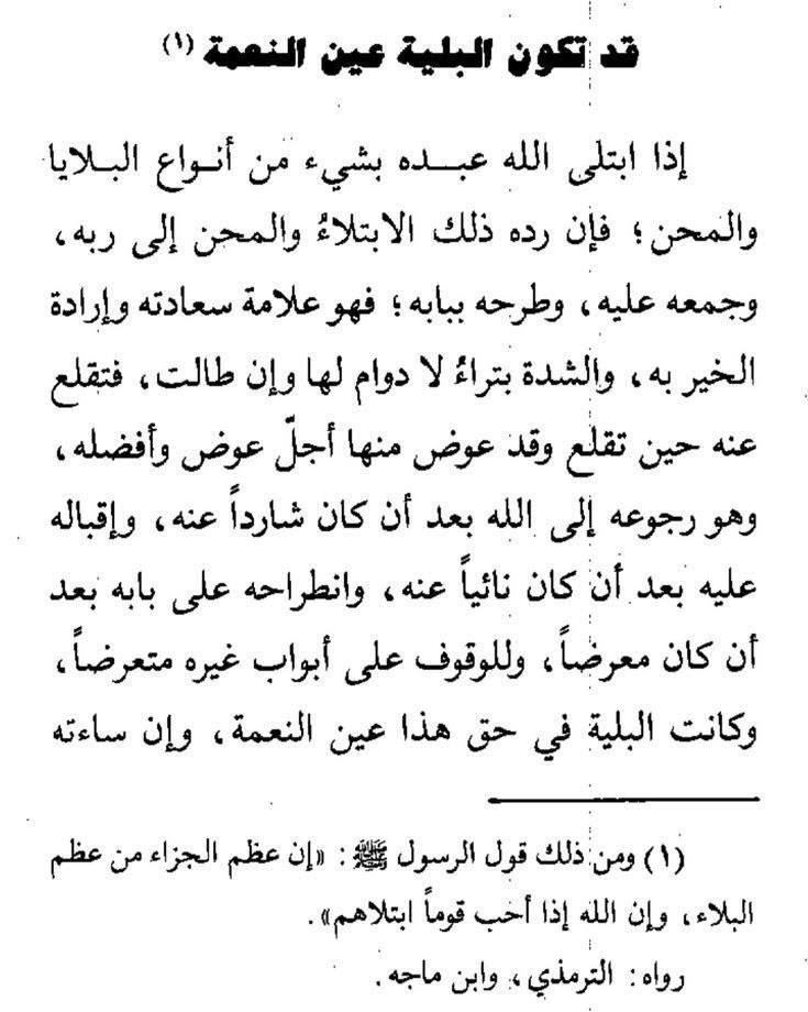 طمأنينة 🌧️🌿 tweet media