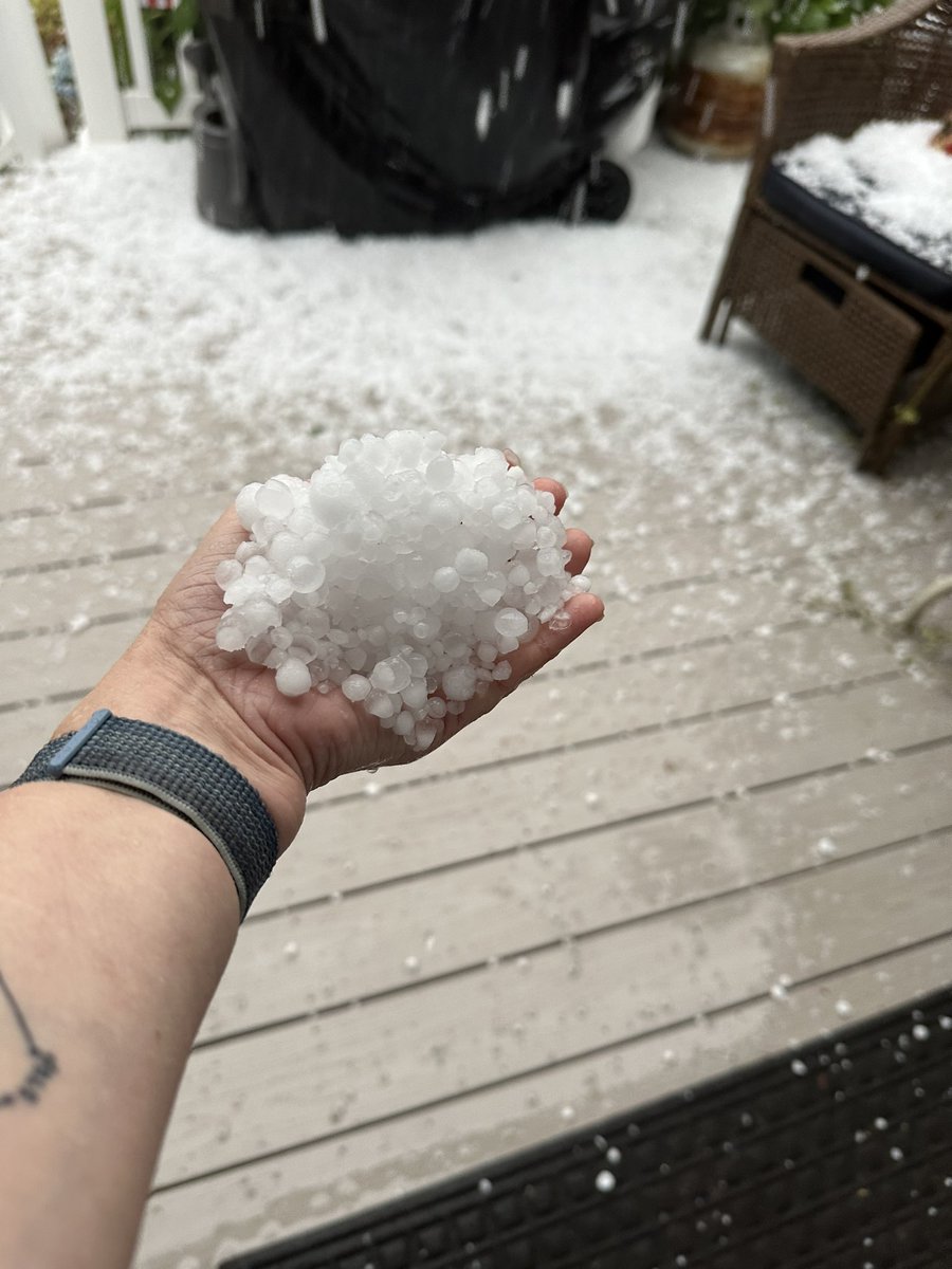 Ashley Baylor tweet media