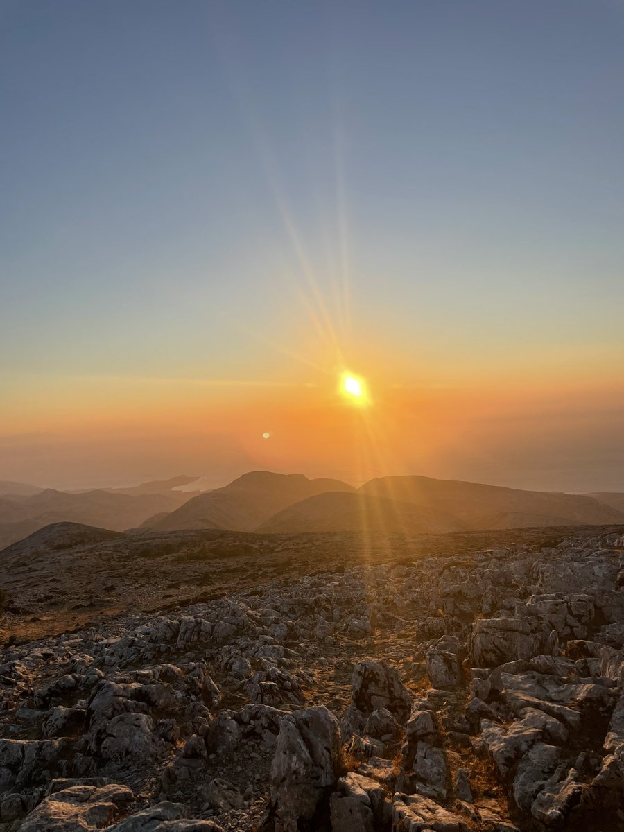 alexis schutz tweet media